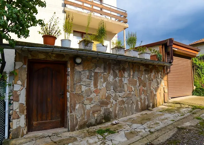 게스트하우스 Topuzovi 도브리니쉬트